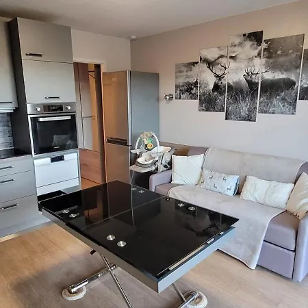 Appartement Le Petit Sapin *