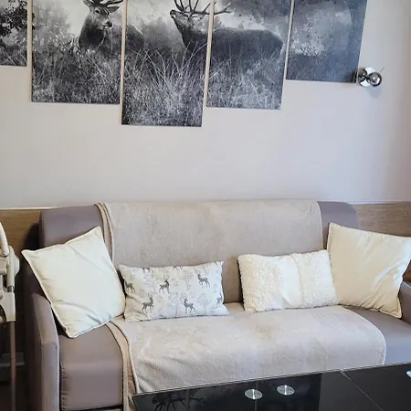 Appartement Le Petit Sapin