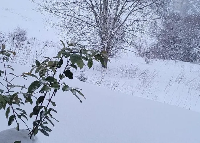 Le Petit Sapin דירה *