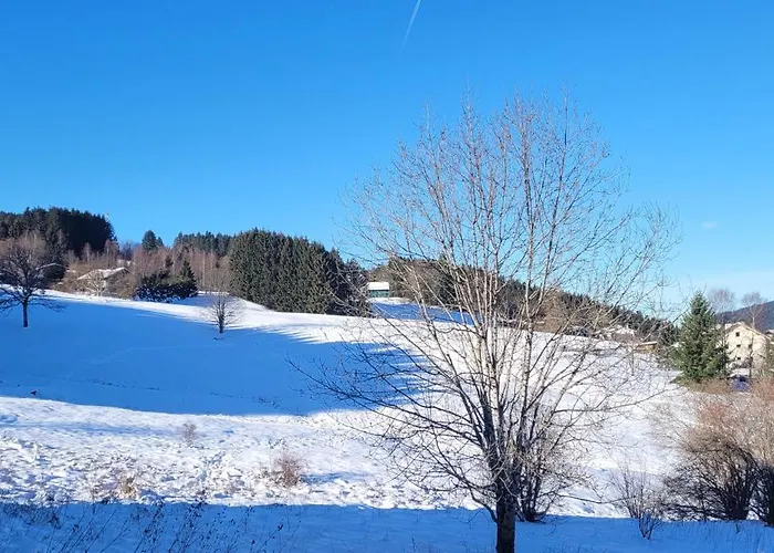 Le Petit Sapin דירה זונרופט-לונז'מר