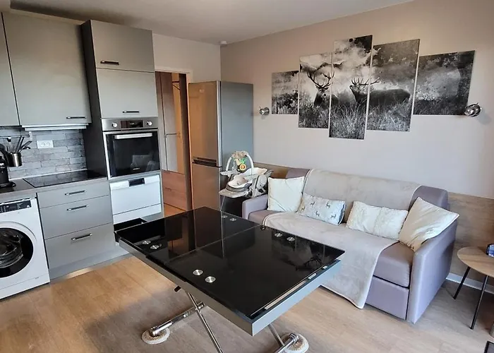 Apartmán Le Petit Sapin *