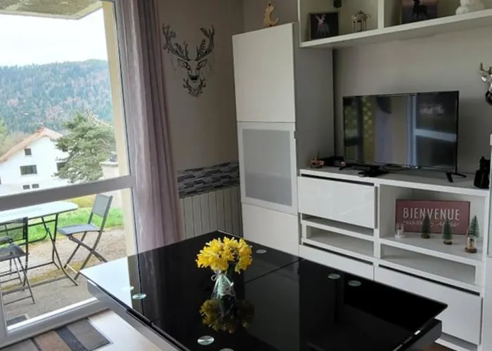 Apartmán Le Petit Sapin *