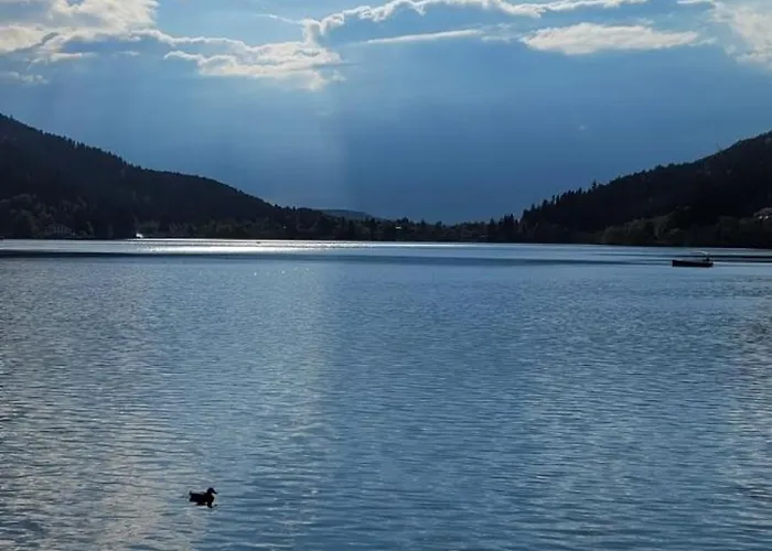 Le Petit Sapin Apartmán